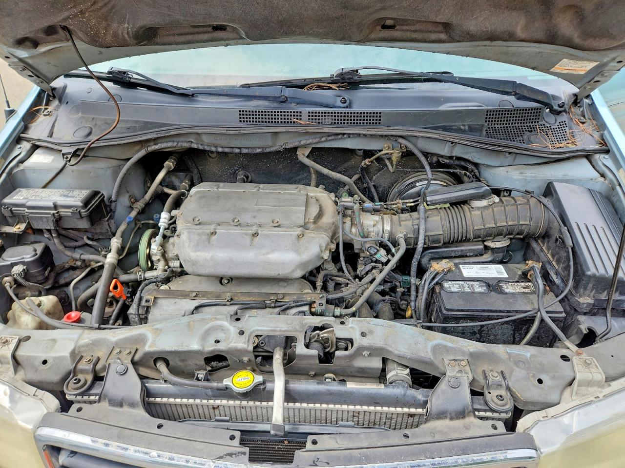 2004 HONDA All Models