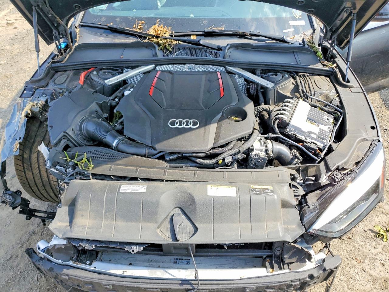 2023 AUDI S5/RS5