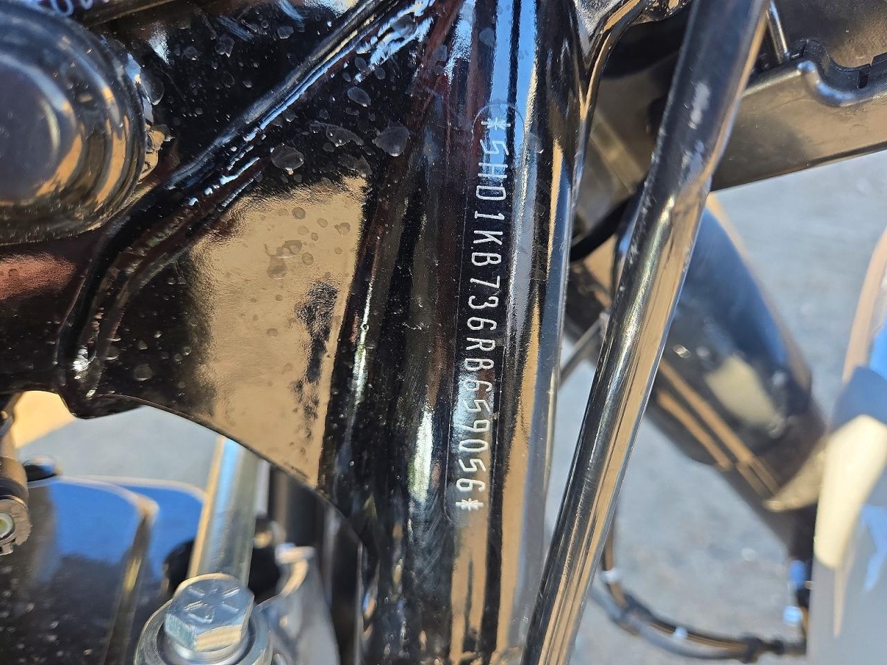 2024 HARLEY-DAVIDSON FL