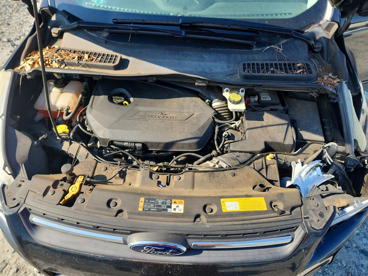 2014 FORD ESCAPE