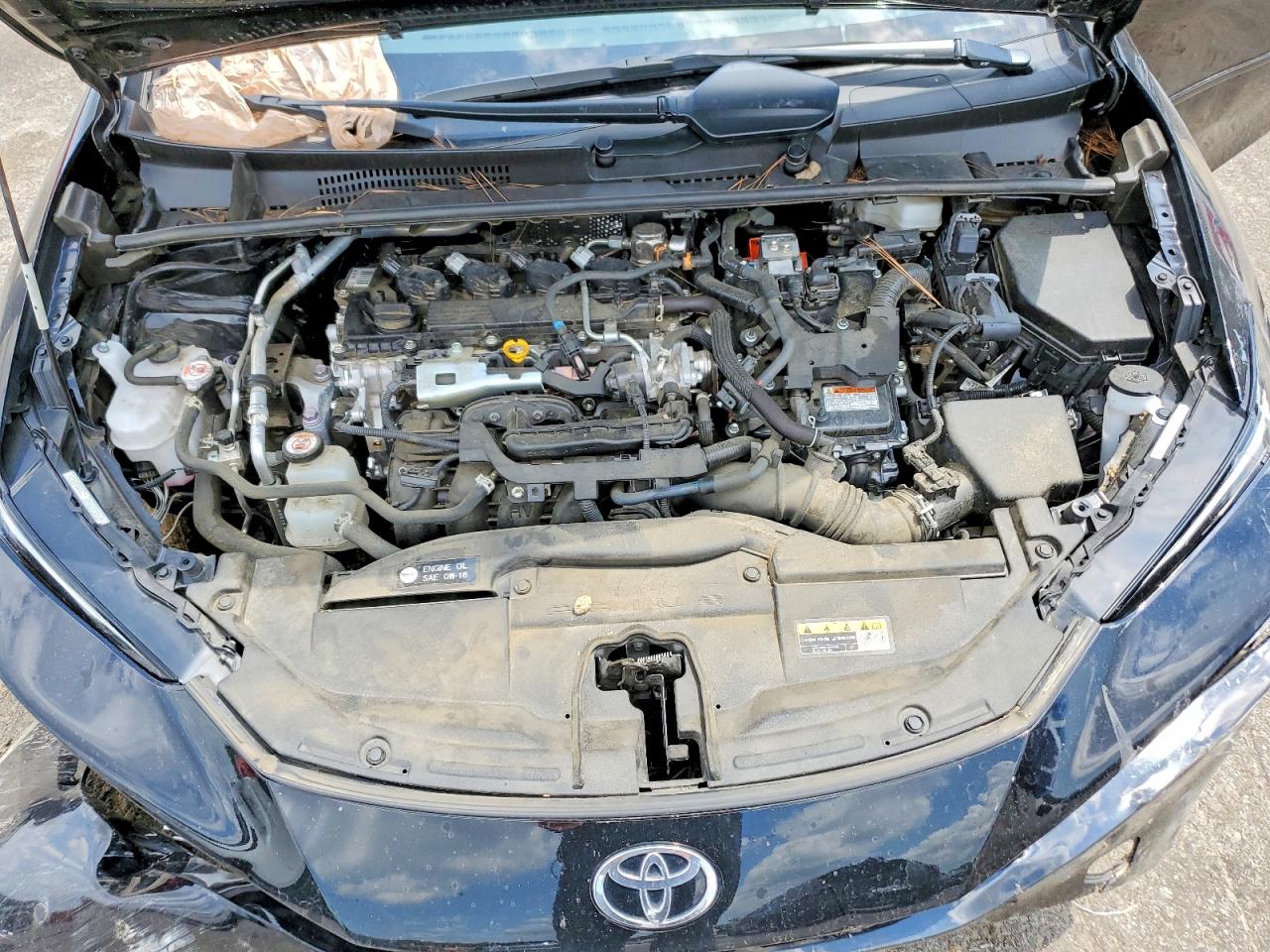 2024 TOYOTA PRIUS
