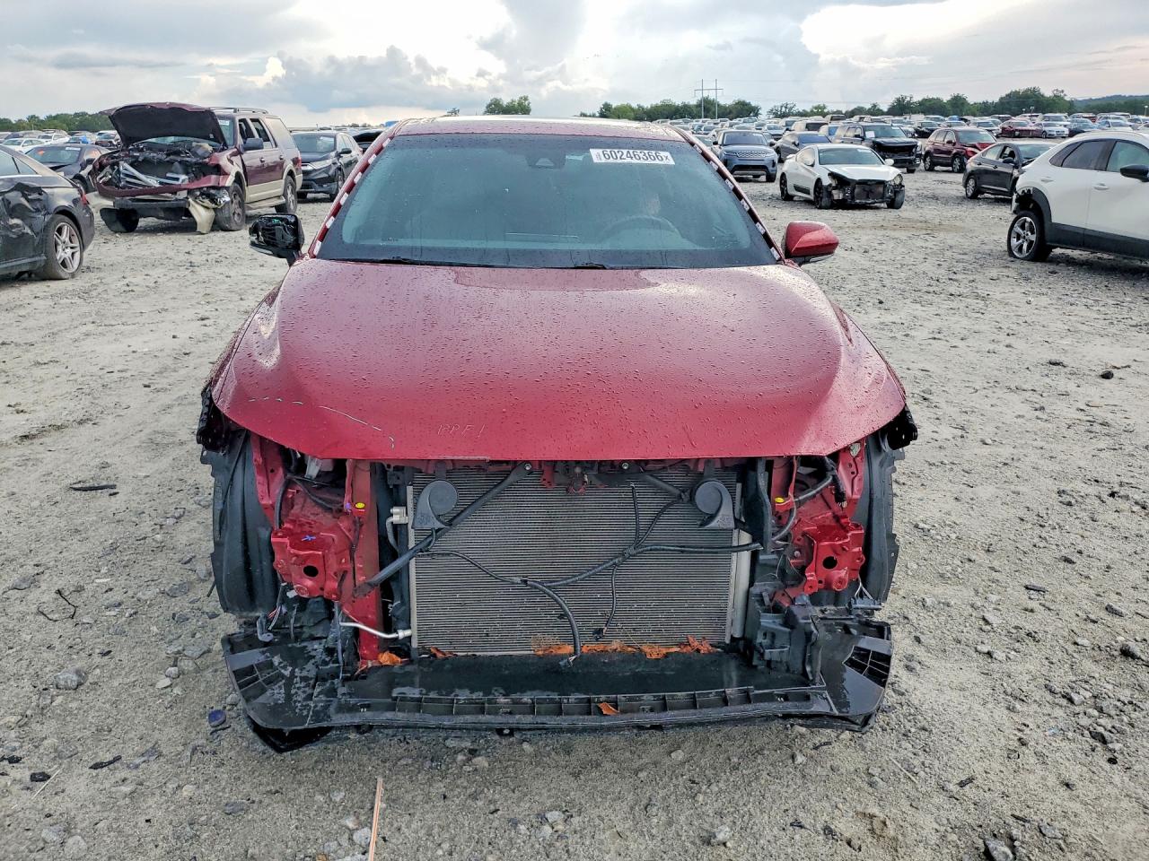 2020 TOYOTA AVALON