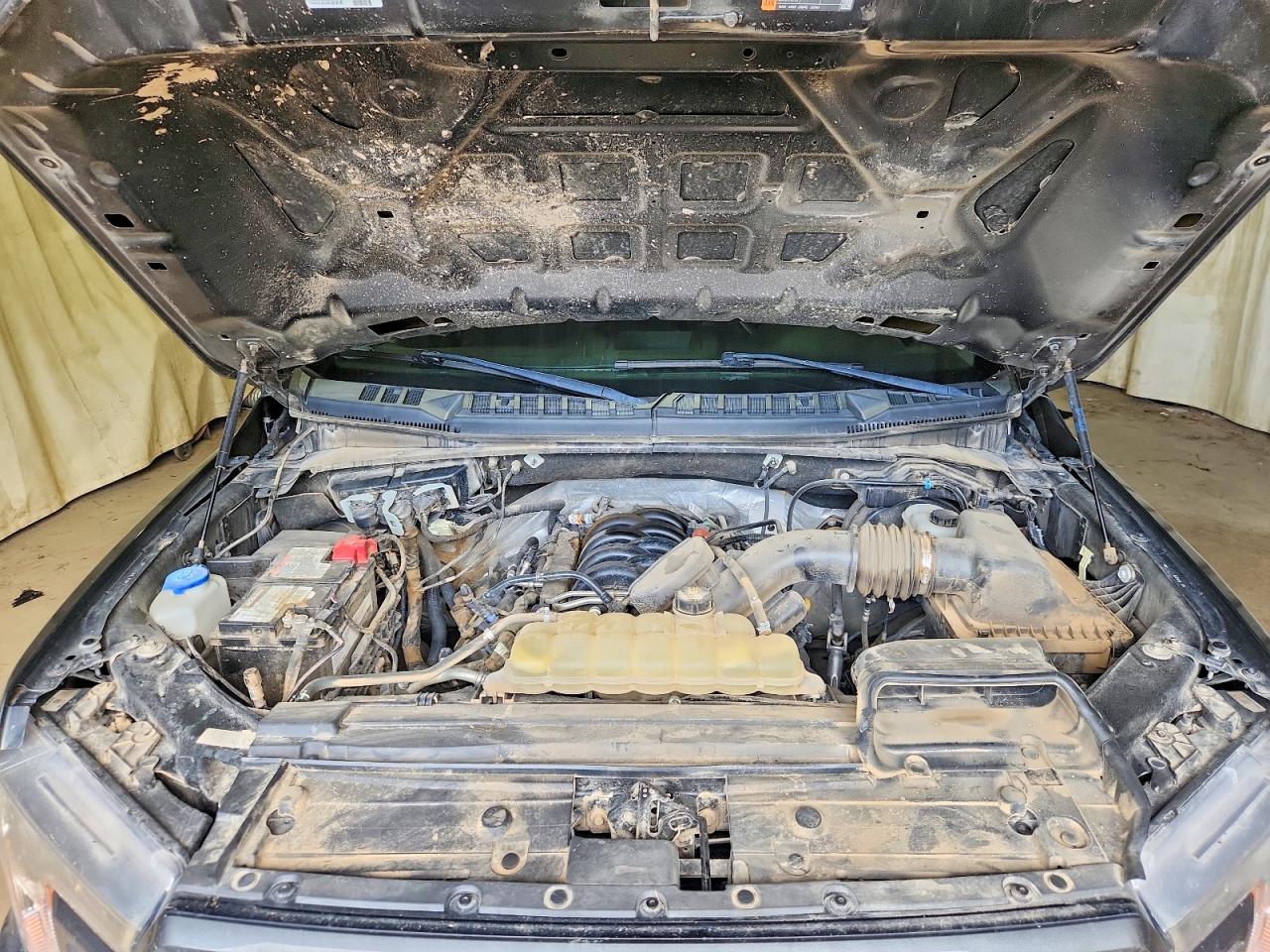 2019 FORD F150