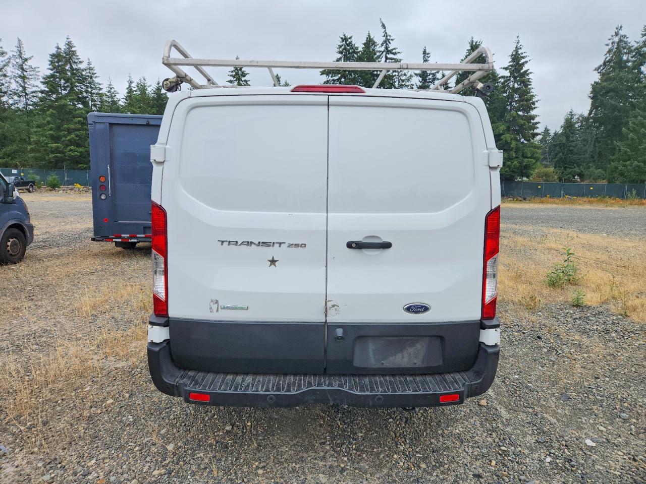 2019 FORD TRANSIT
