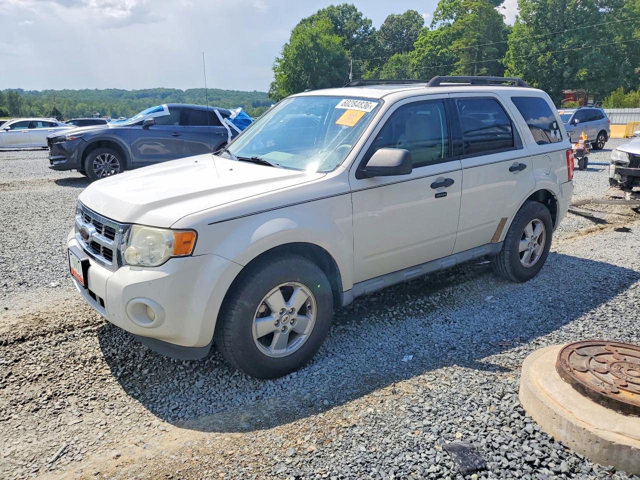 2010 FORD ESCAPE