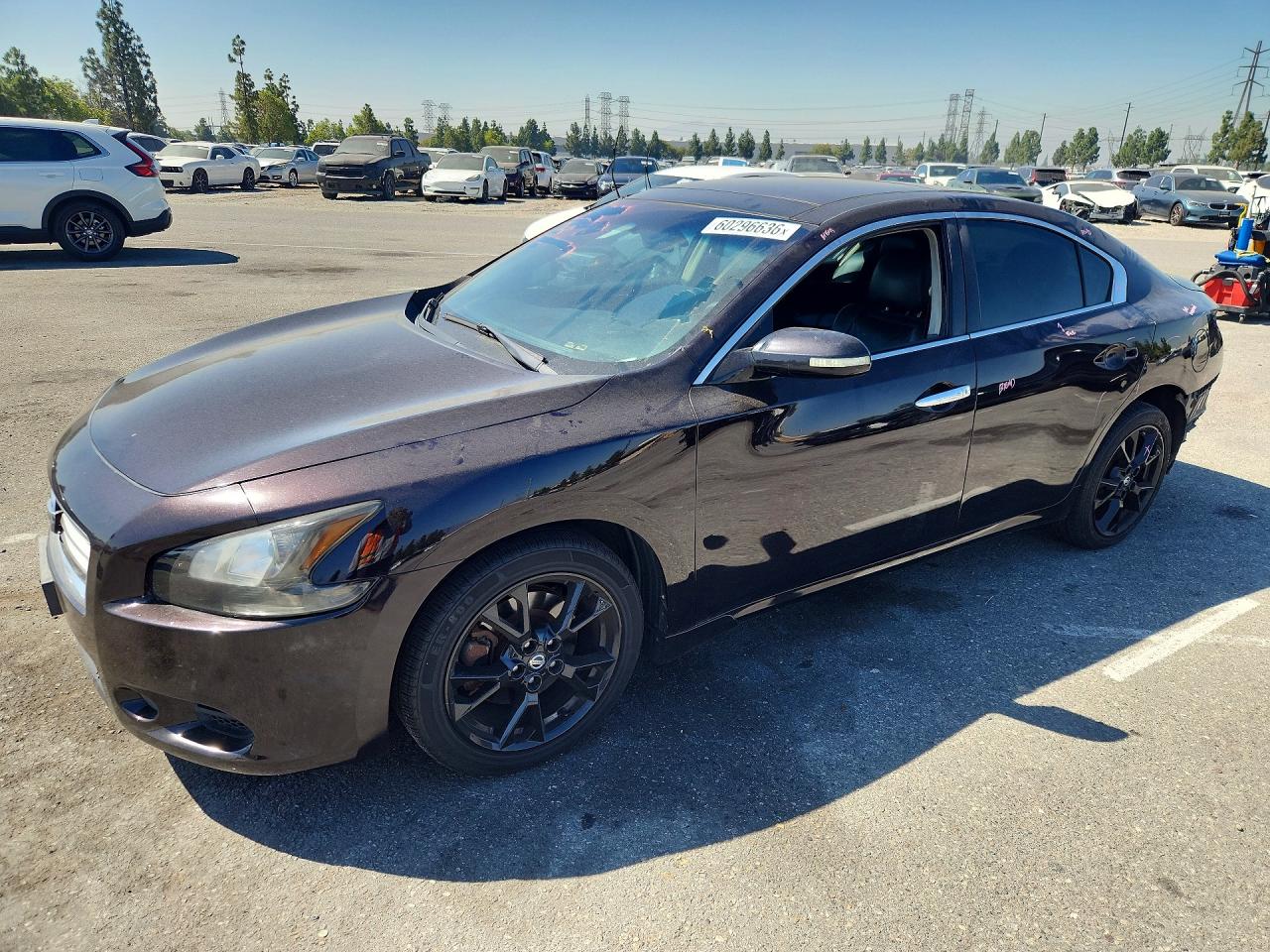 2012 NISSAN MAXIMA