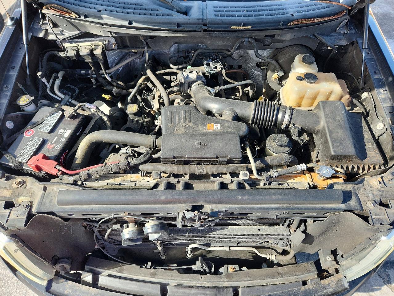 2010 FORD All Models