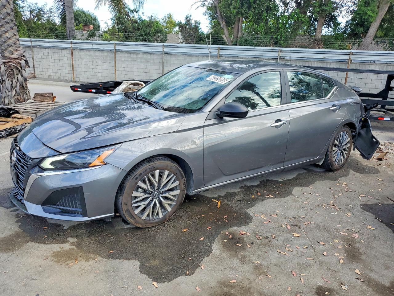2025 NISSAN ALTIMA