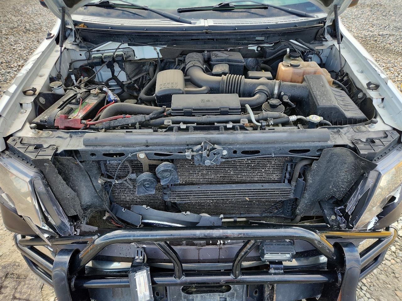 2010 FORD F150
