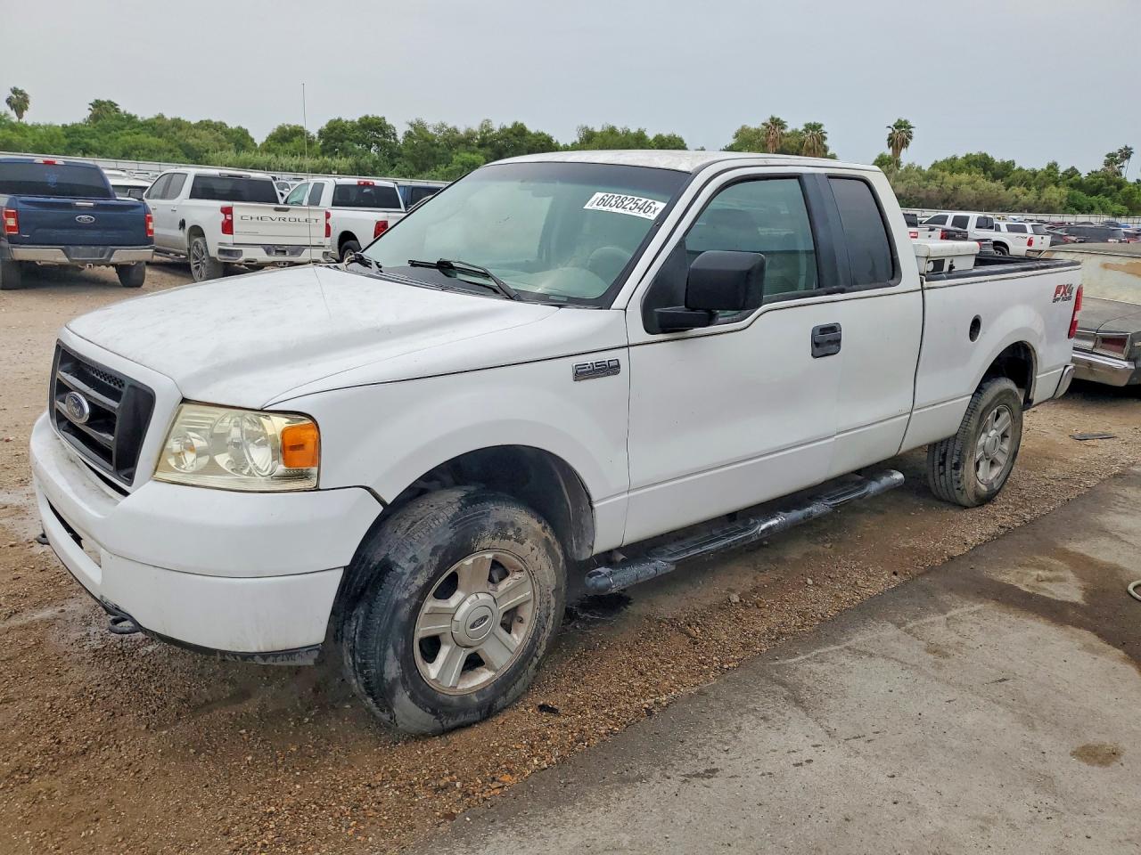 2006 FORD All Models