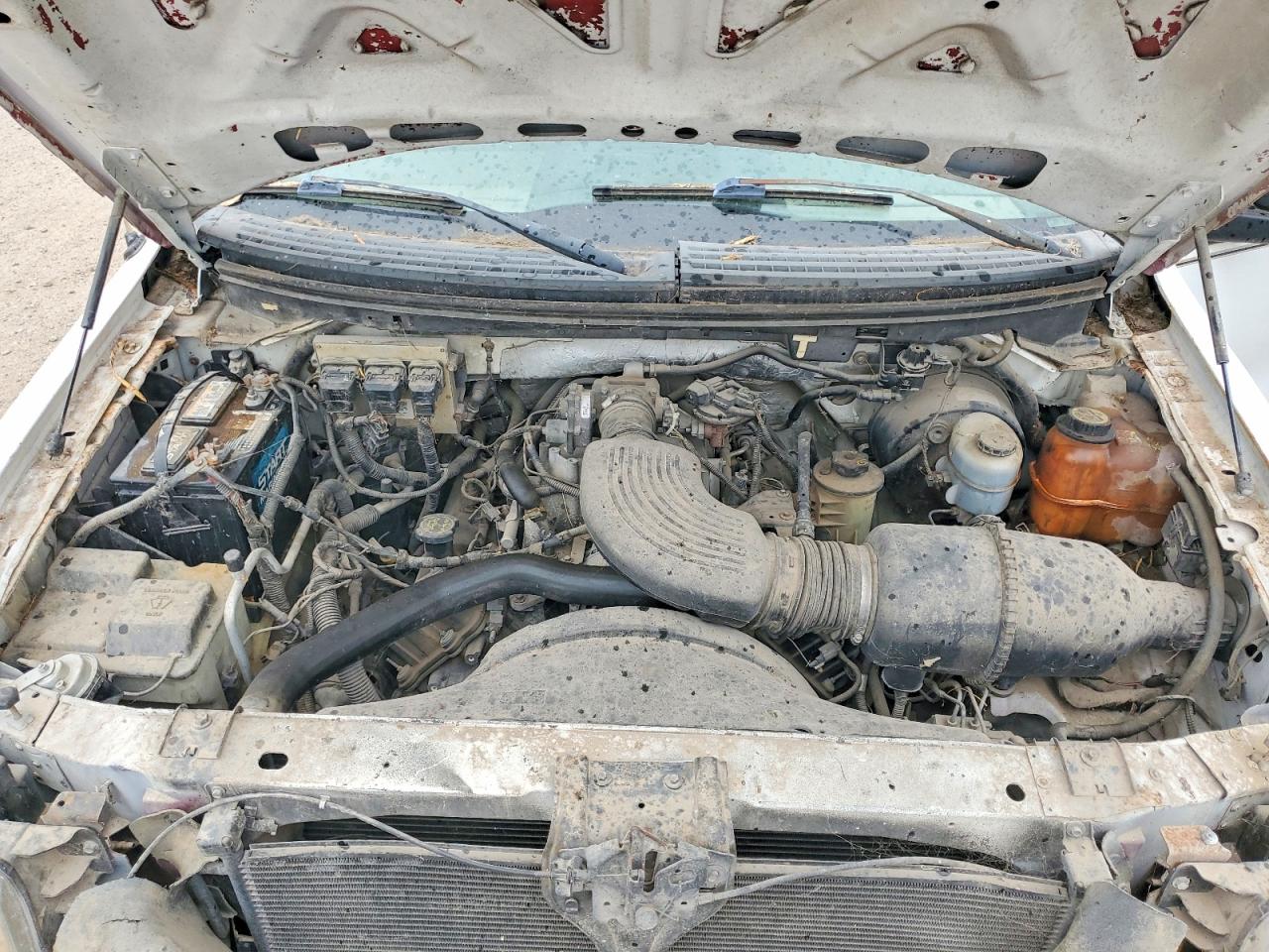 2006 FORD All Models