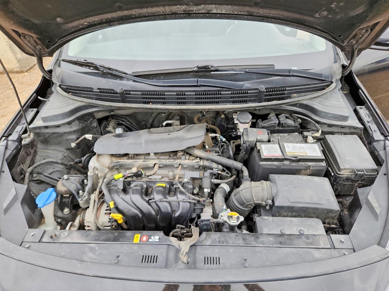 2019 KIA RIO