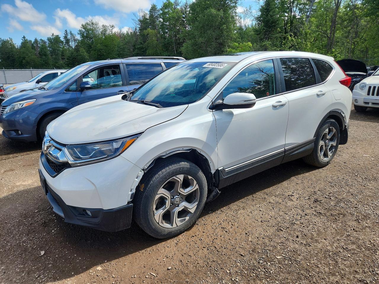 2019 HONDA CRV
