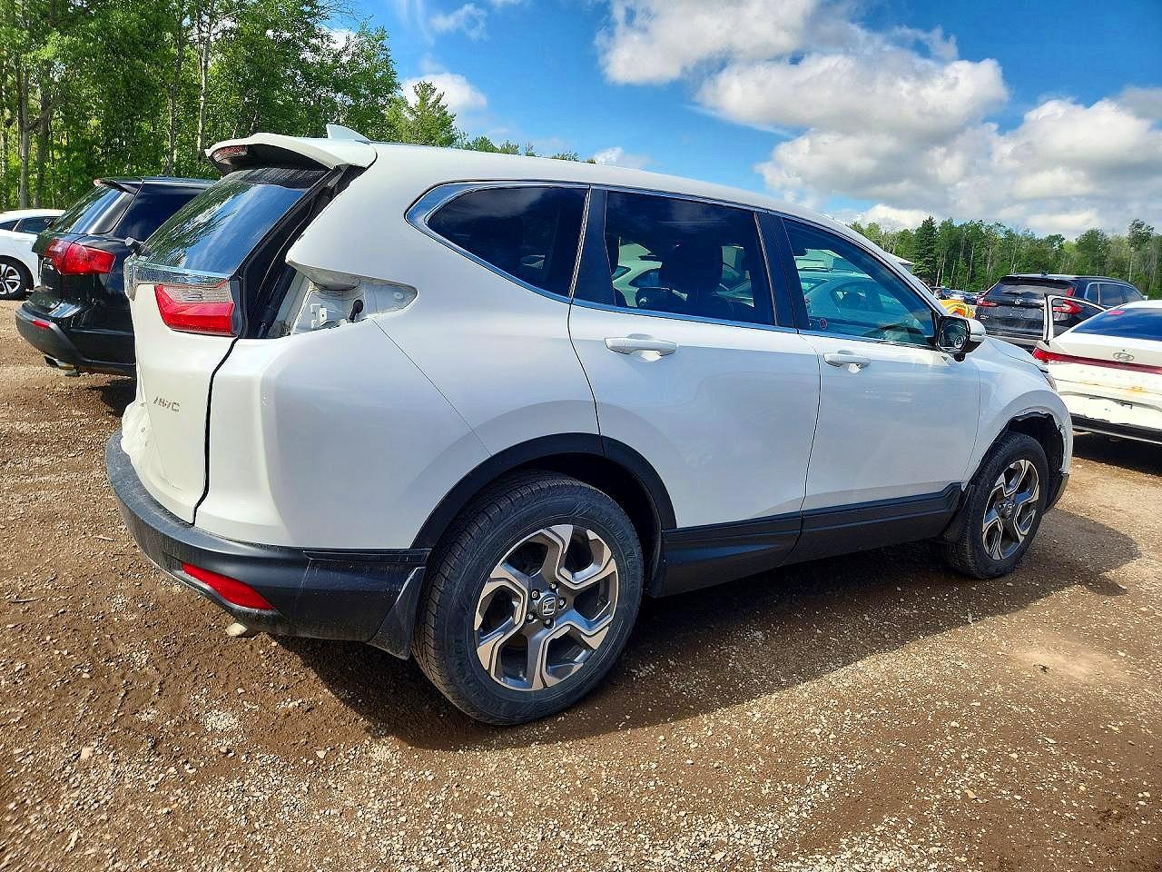 2019 HONDA CRV
