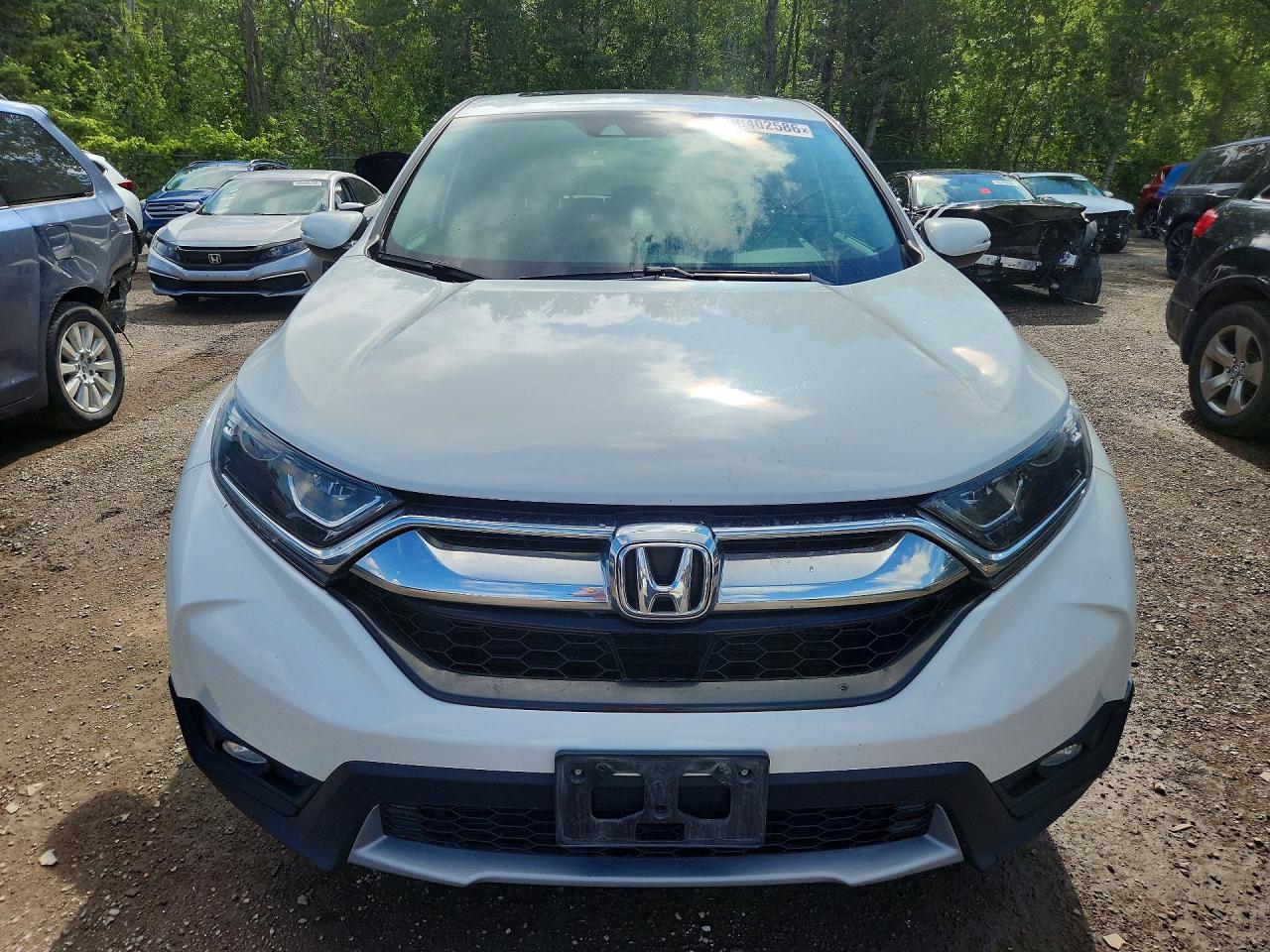 2019 HONDA CRV