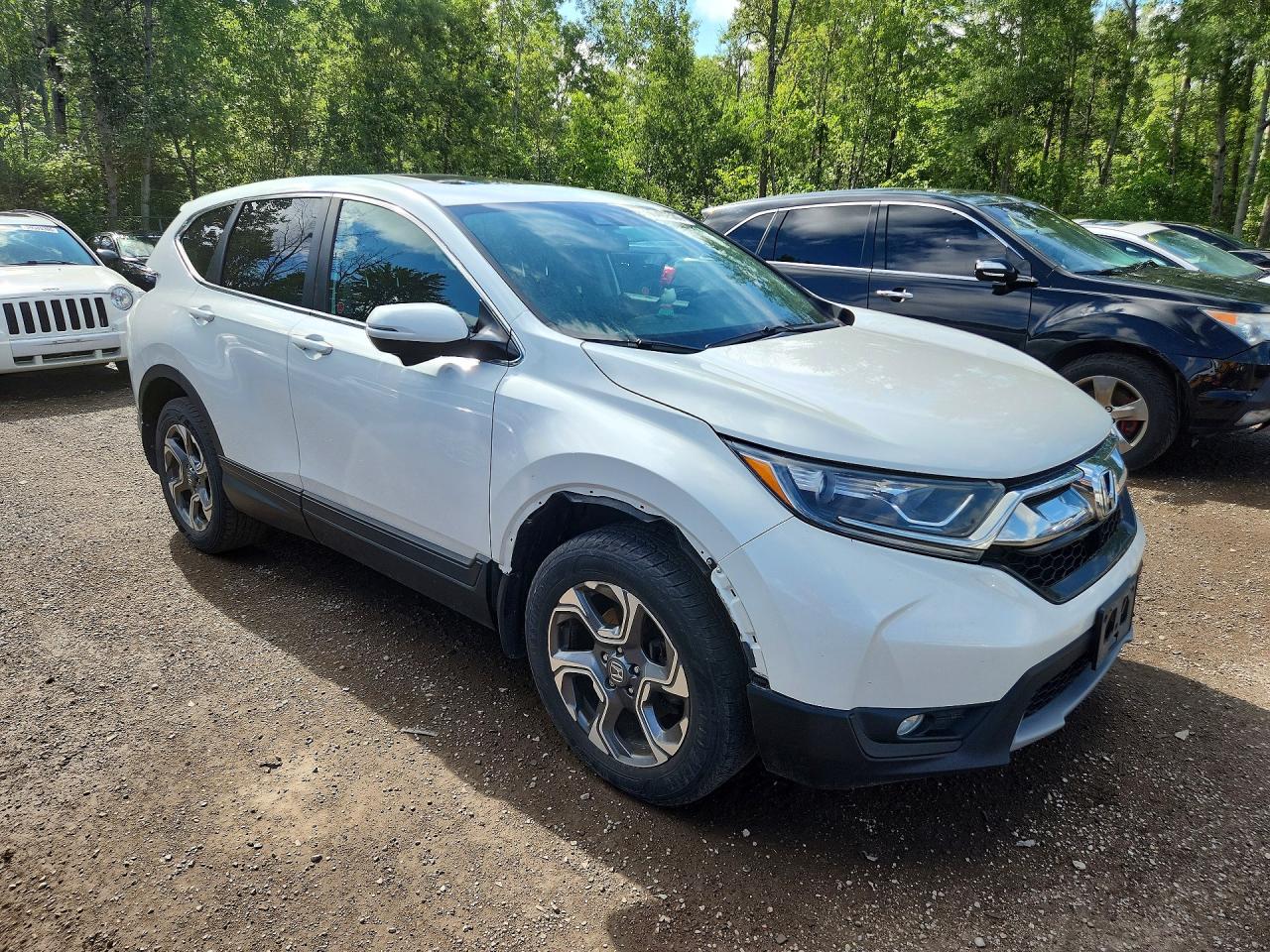 2019 HONDA CRV