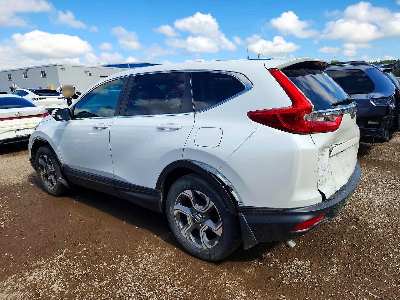 2019 HONDA CRV