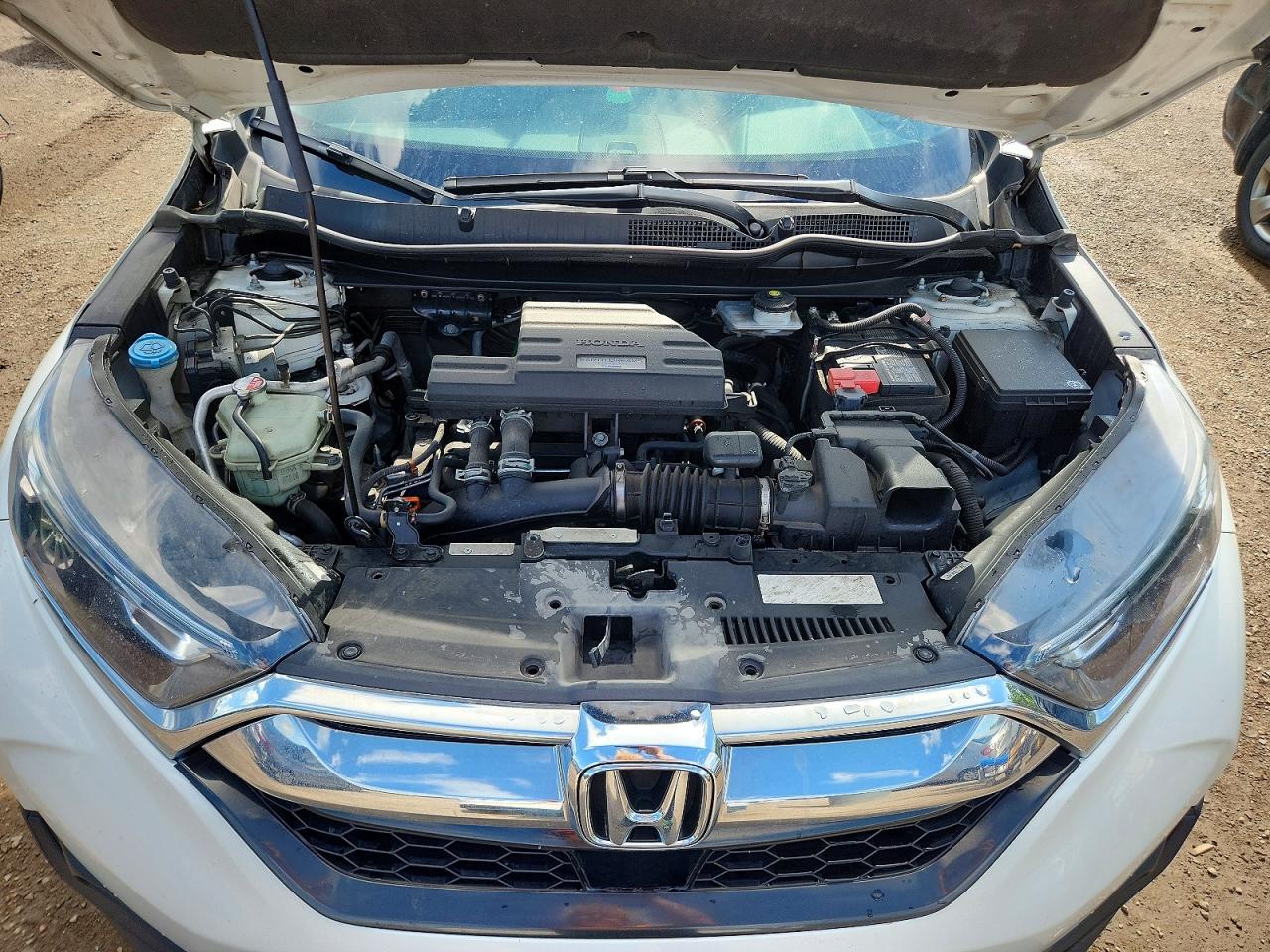 2019 HONDA CRV