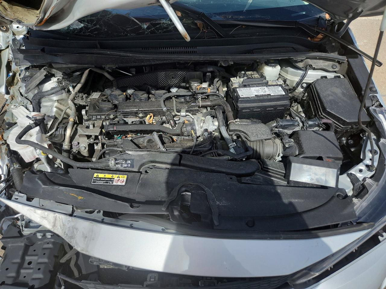 2024 TOYOTA COROLLA