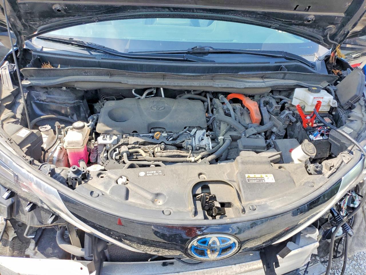 2021 TOYOTA SIENNA