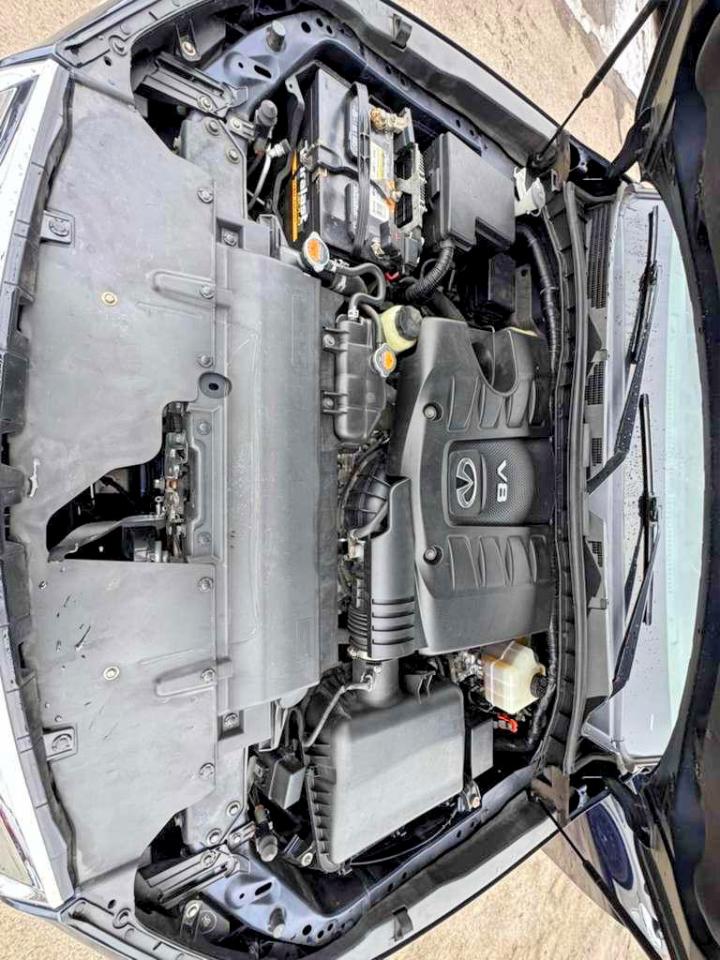 2019 INFINITI QX80