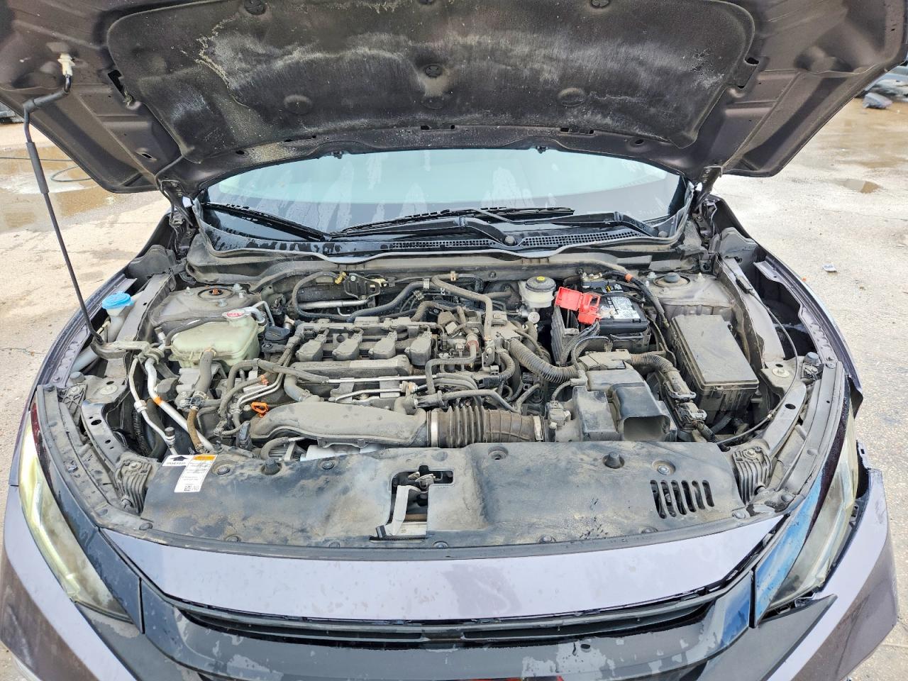 2019 HONDA CIVIC