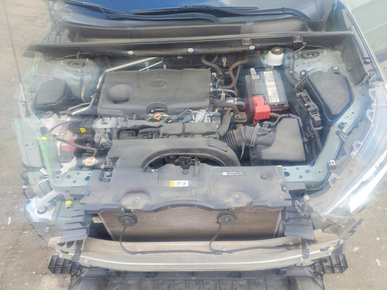 2019 TOYOTA RAV4