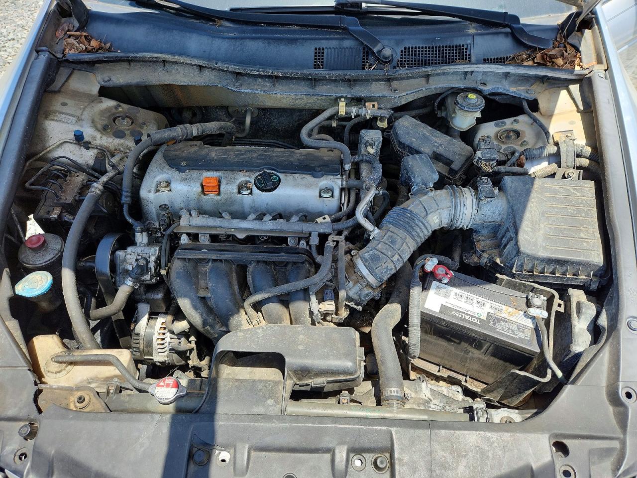 2010 HONDA ACCORD