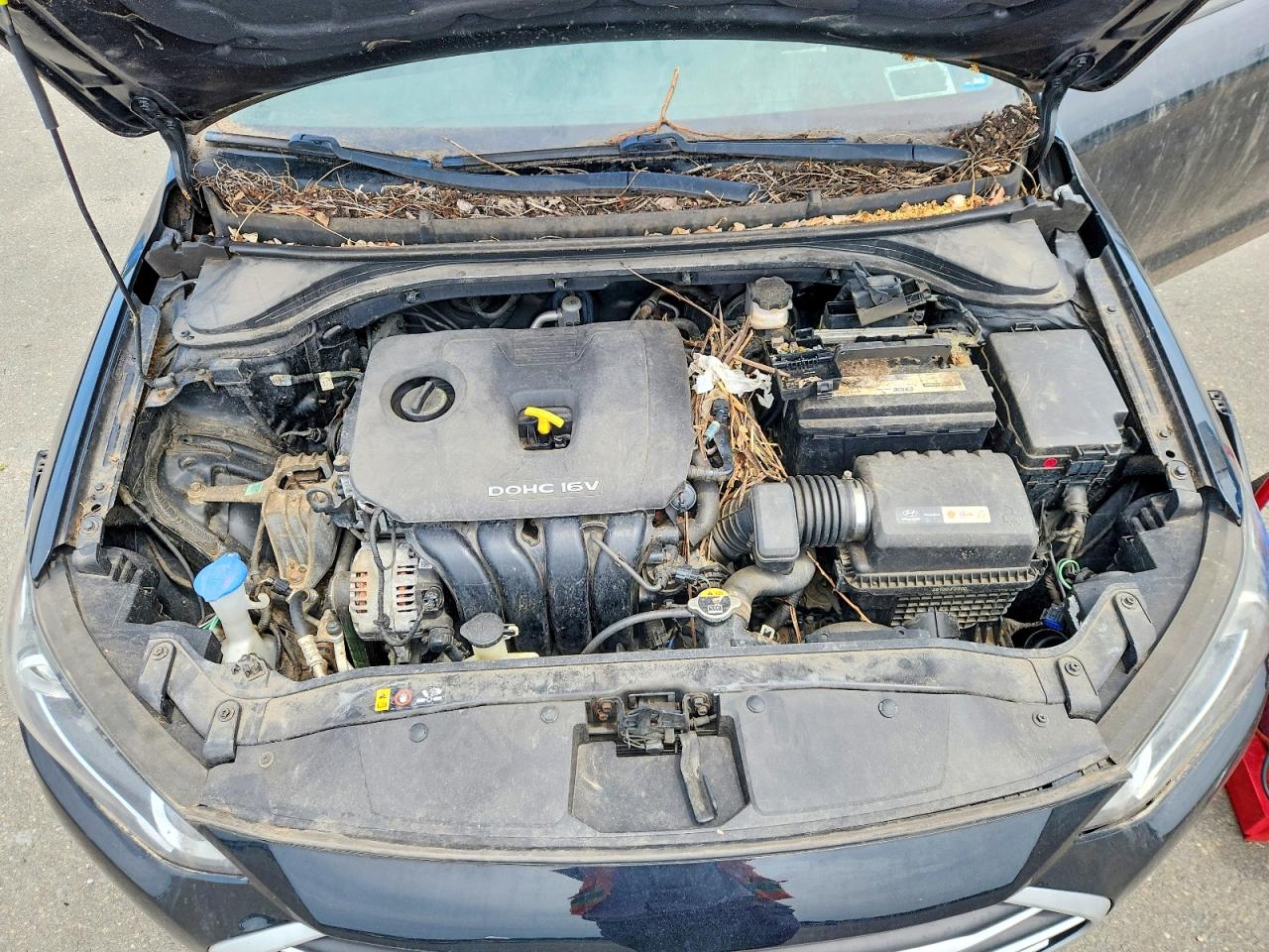 2017 HYUNDAI ELANTRA