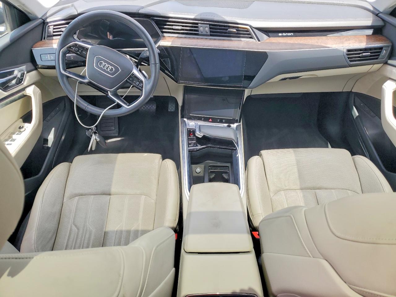 2019 AUDI E-TRON