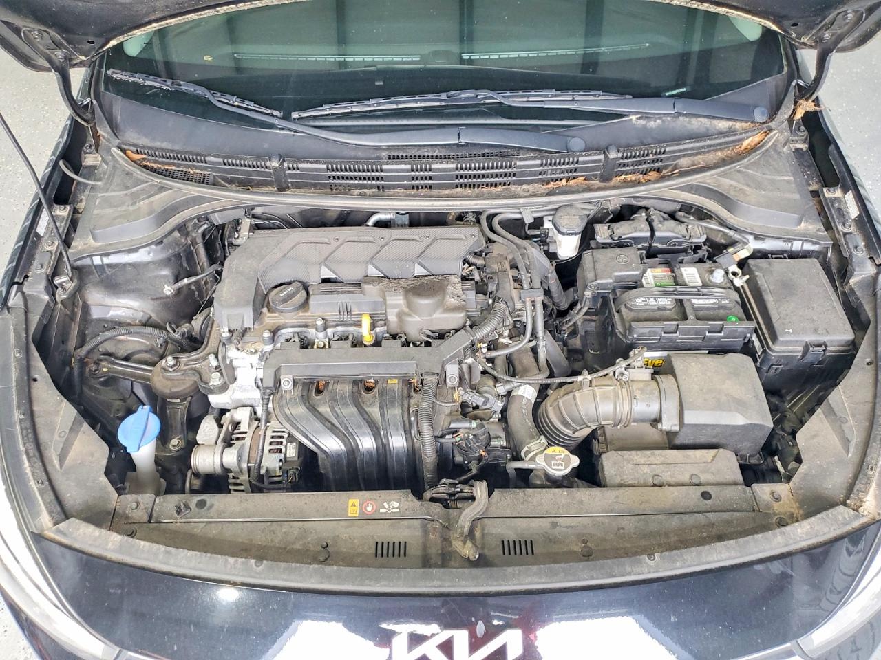 2023 KIA RIO