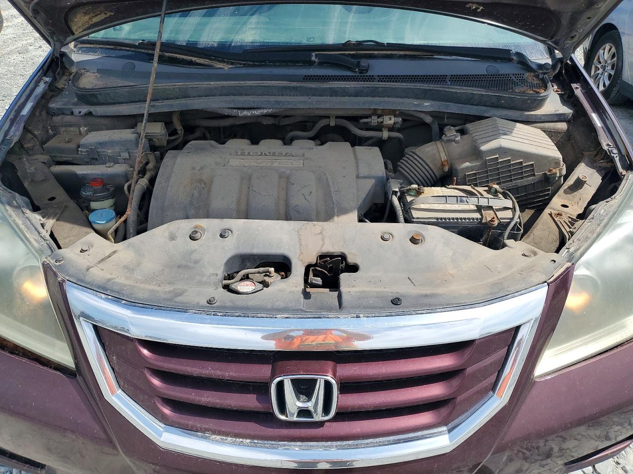 2008 HONDA All Models