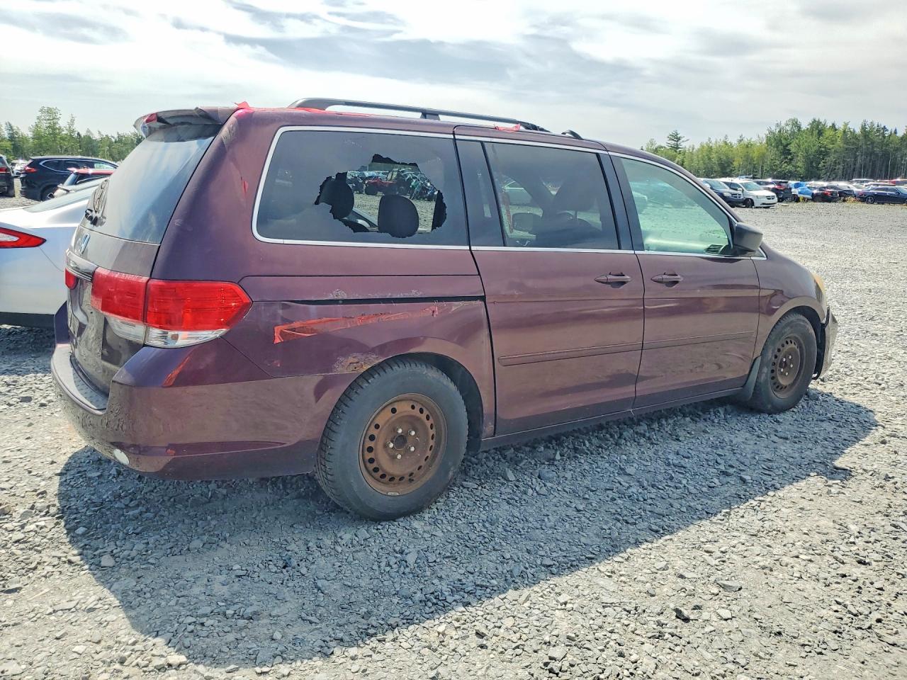 2008 HONDA All Models