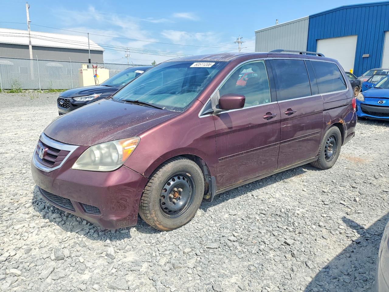 2008 HONDA All Models