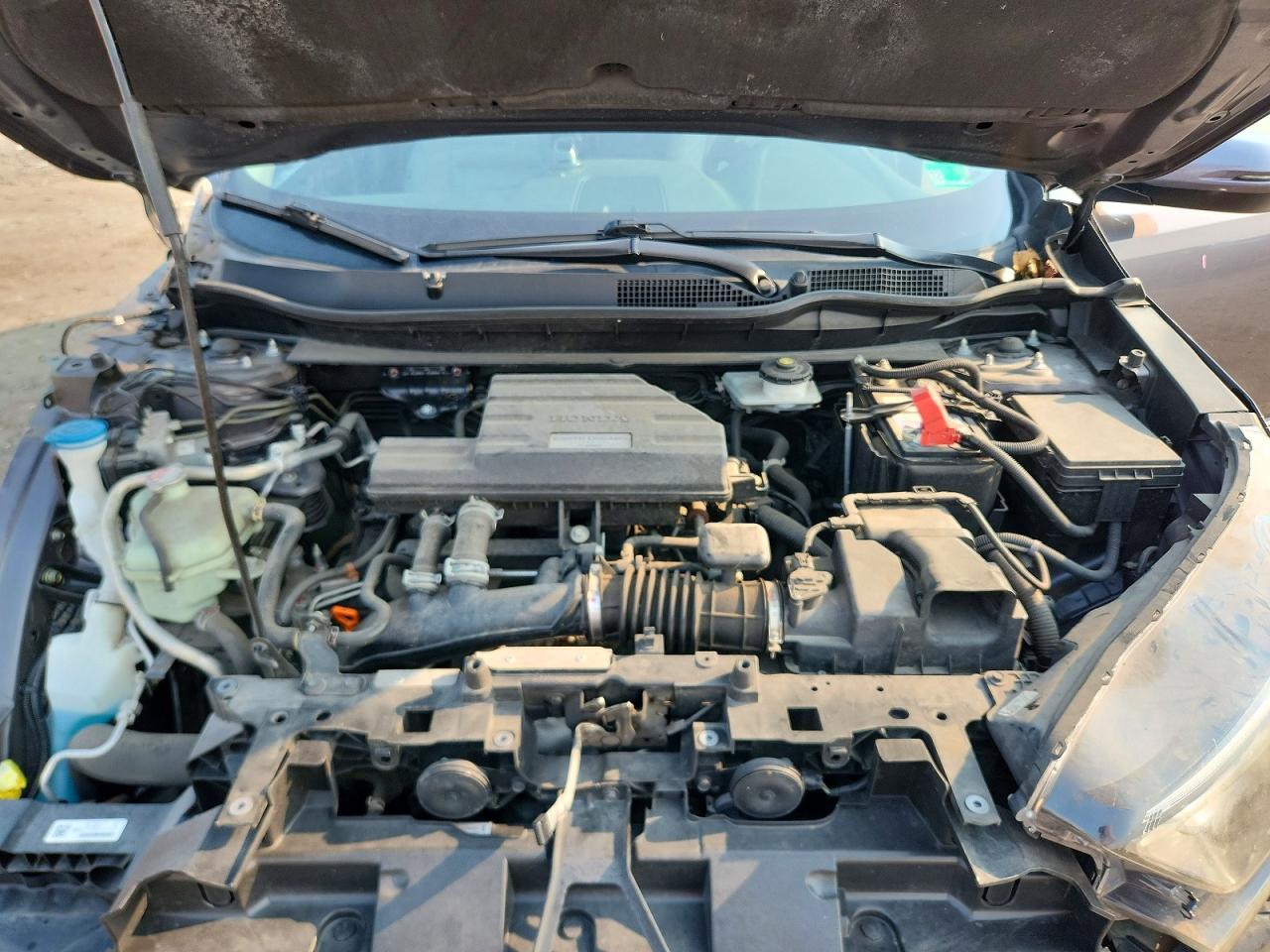 2019 HONDA CRV