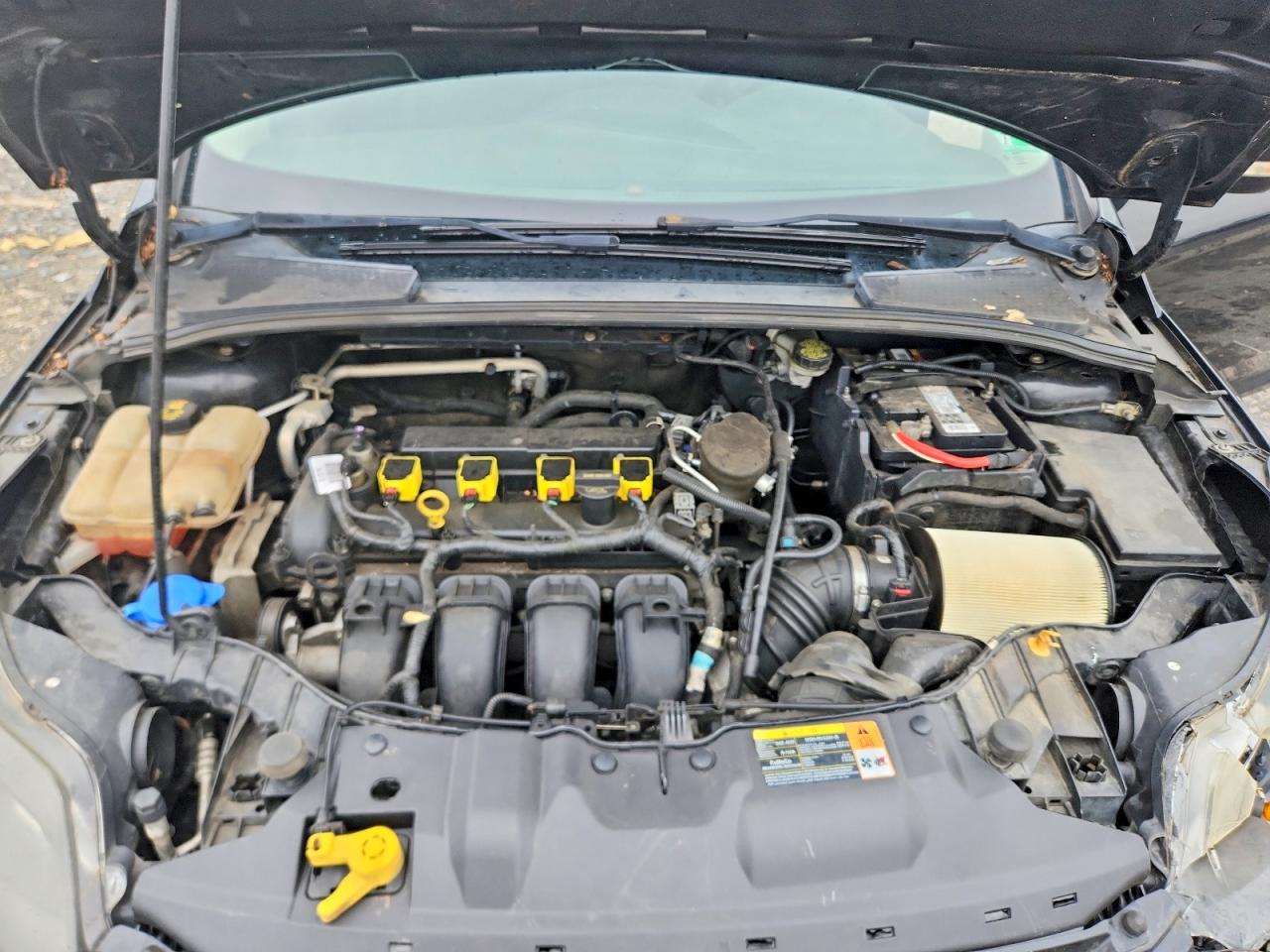 2014 FORD FOCUS