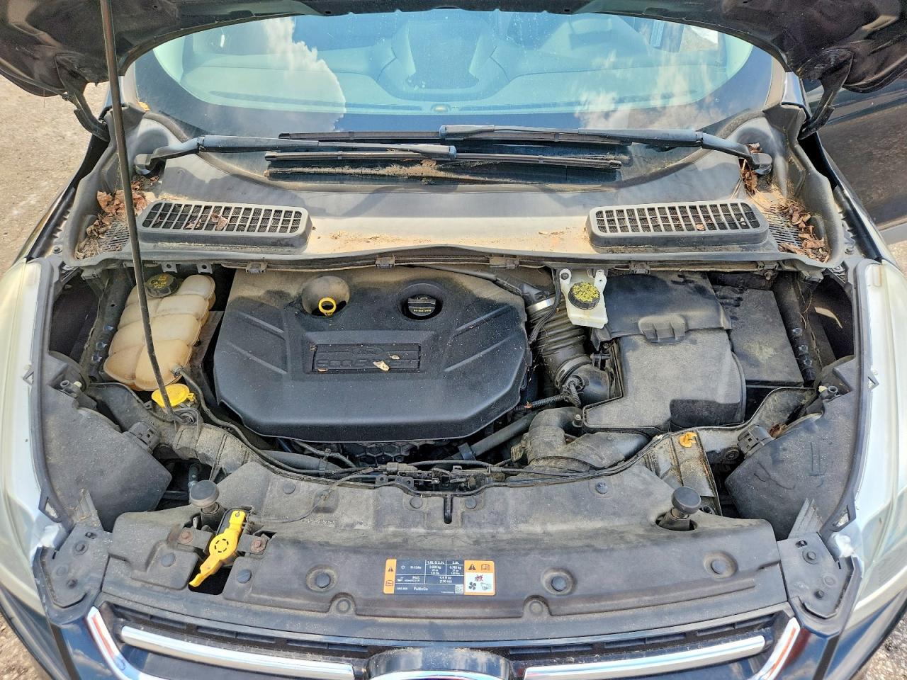 2014 FORD ESCAPE