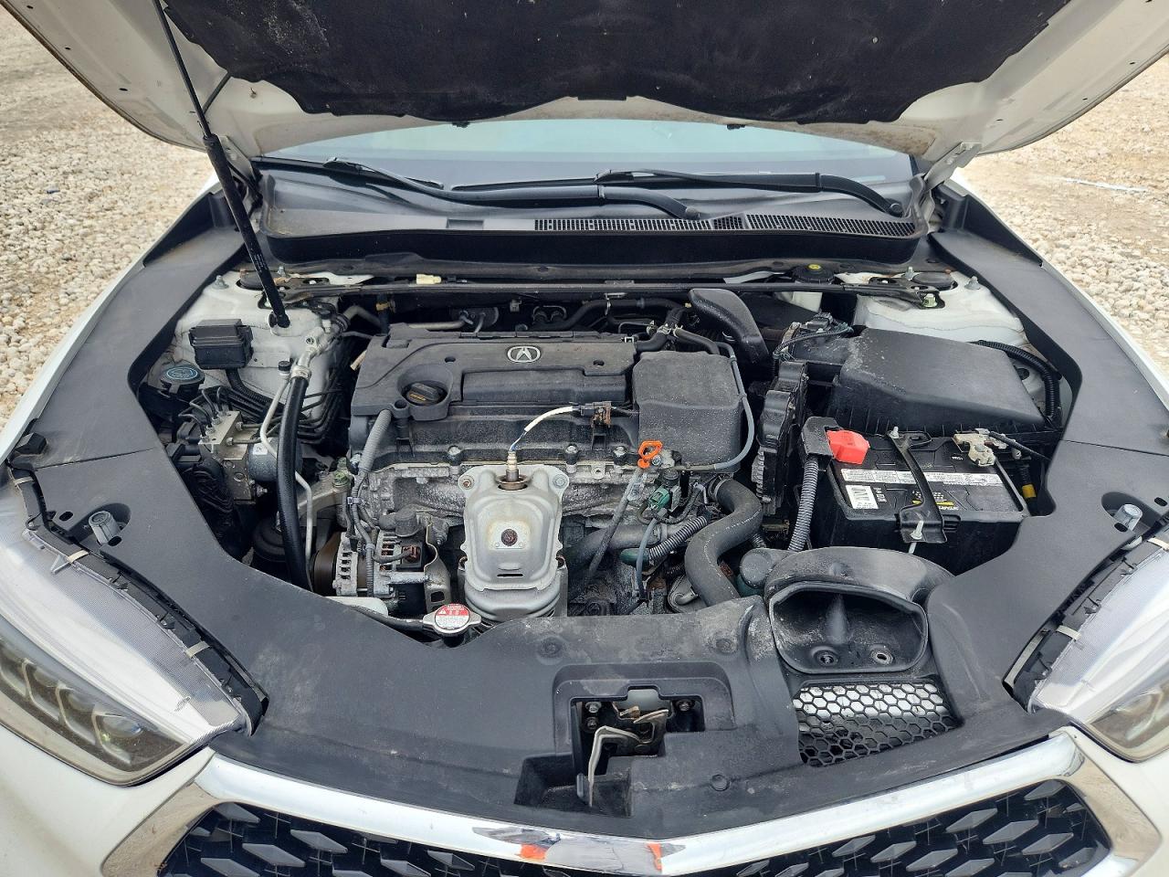 2019 ACURA TLX