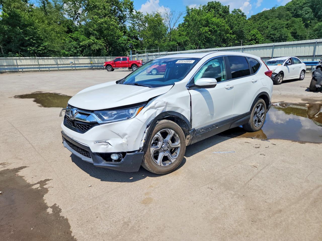 2019 HONDA CRV