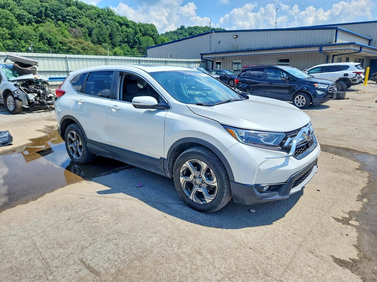2019 HONDA CRV