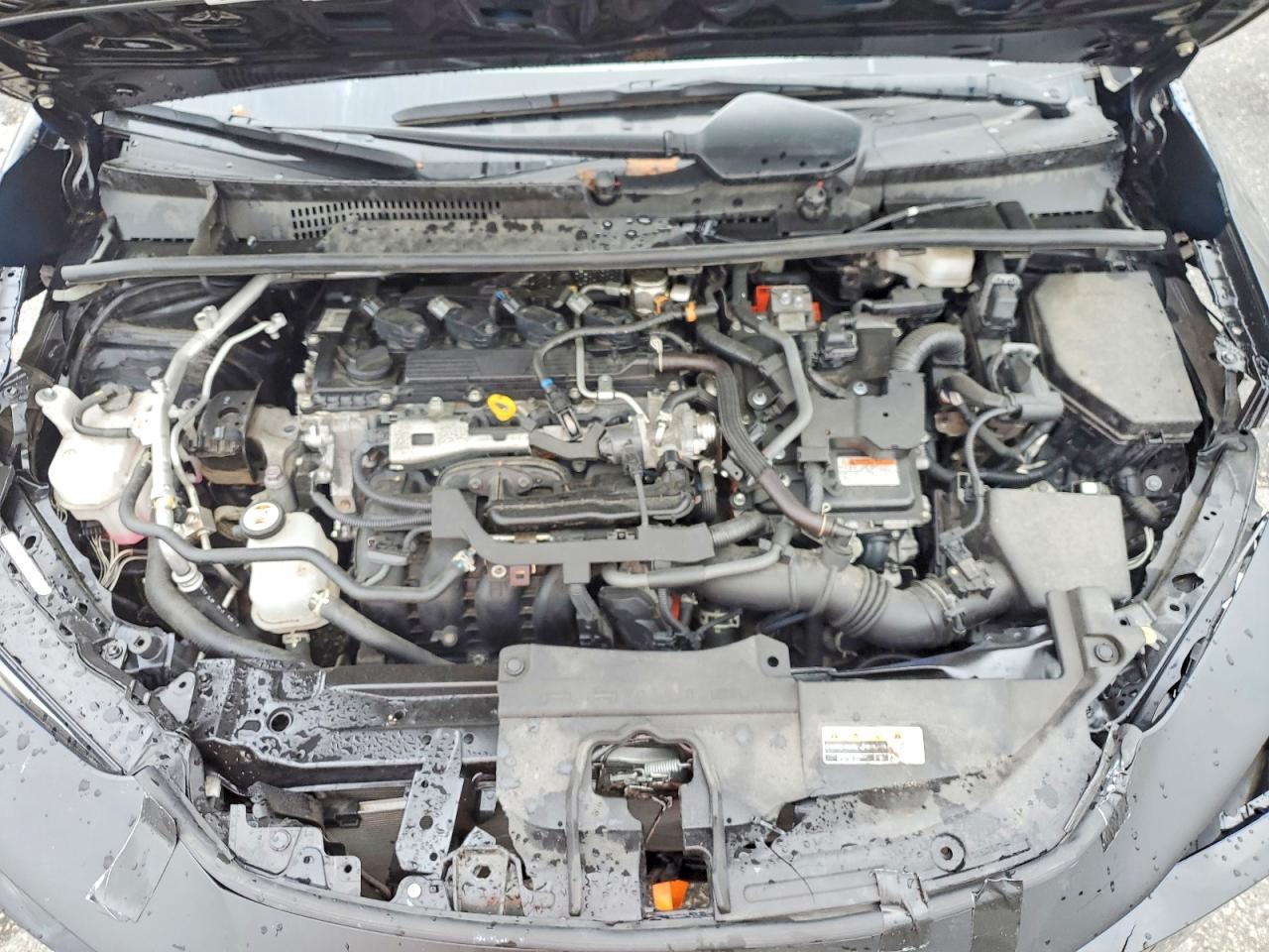 2023 TOYOTA PRIUS