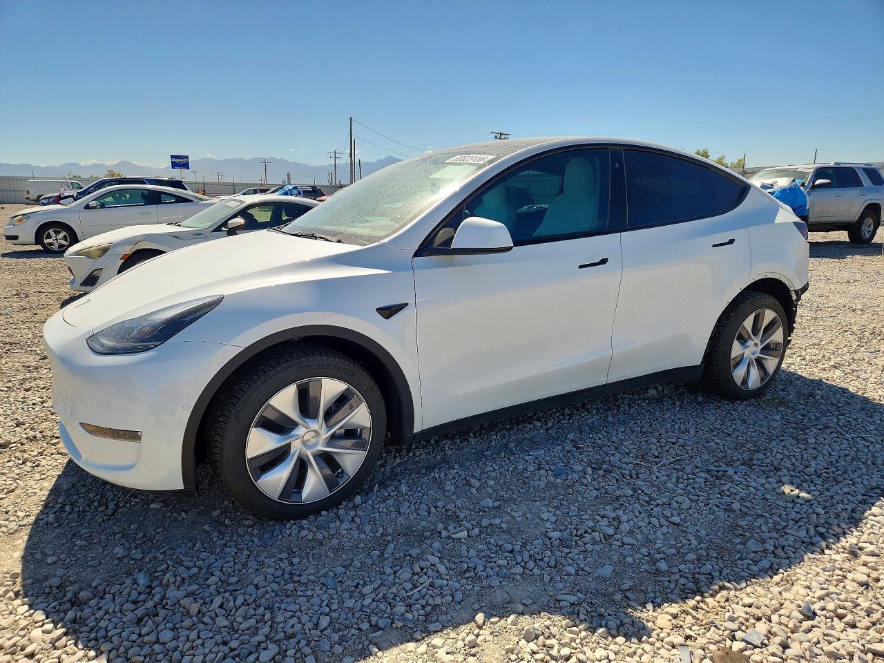 2022 TESLA MODEL Y