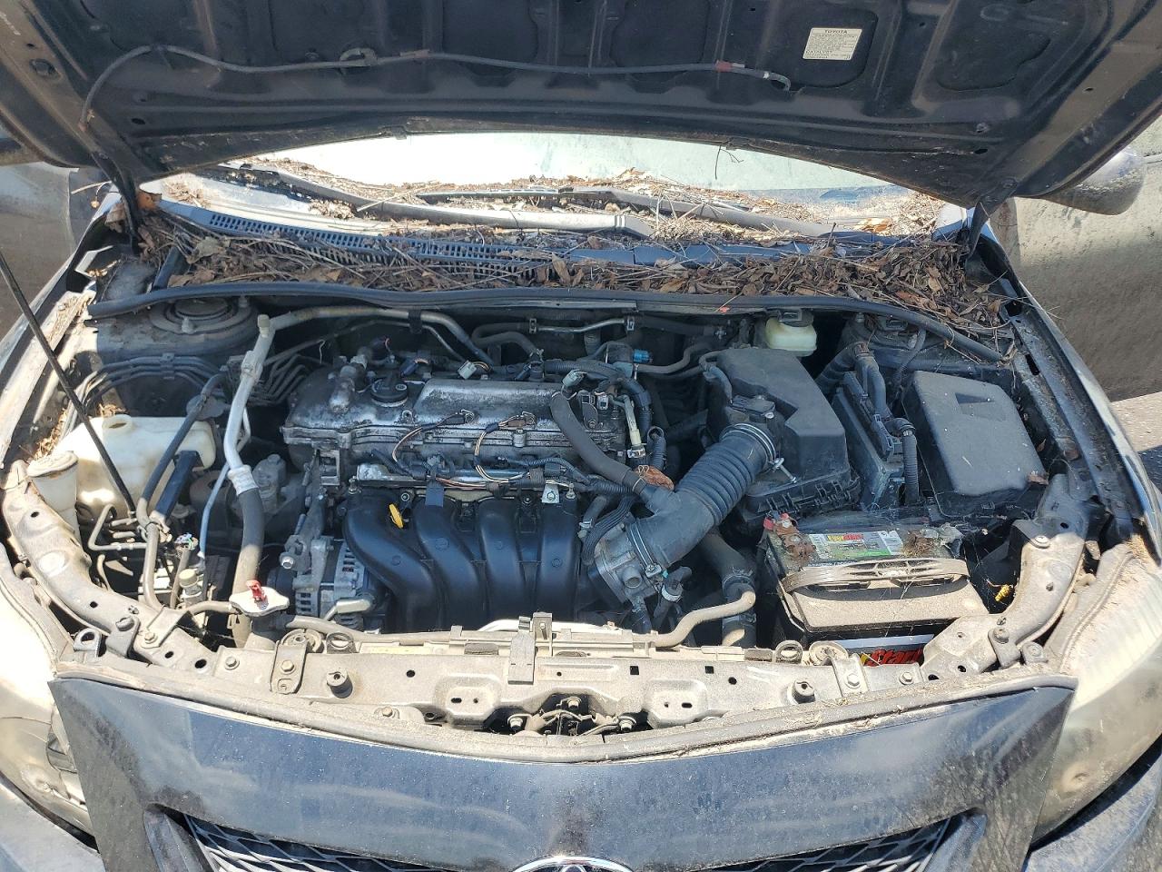 2009 TOYOTA COROLLA