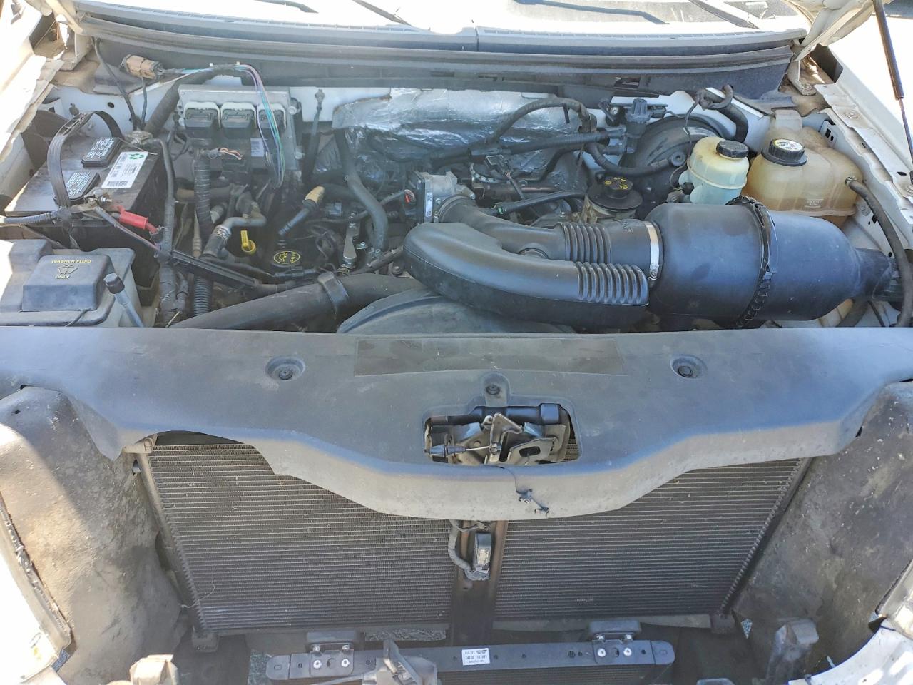 2007 FORD All Models