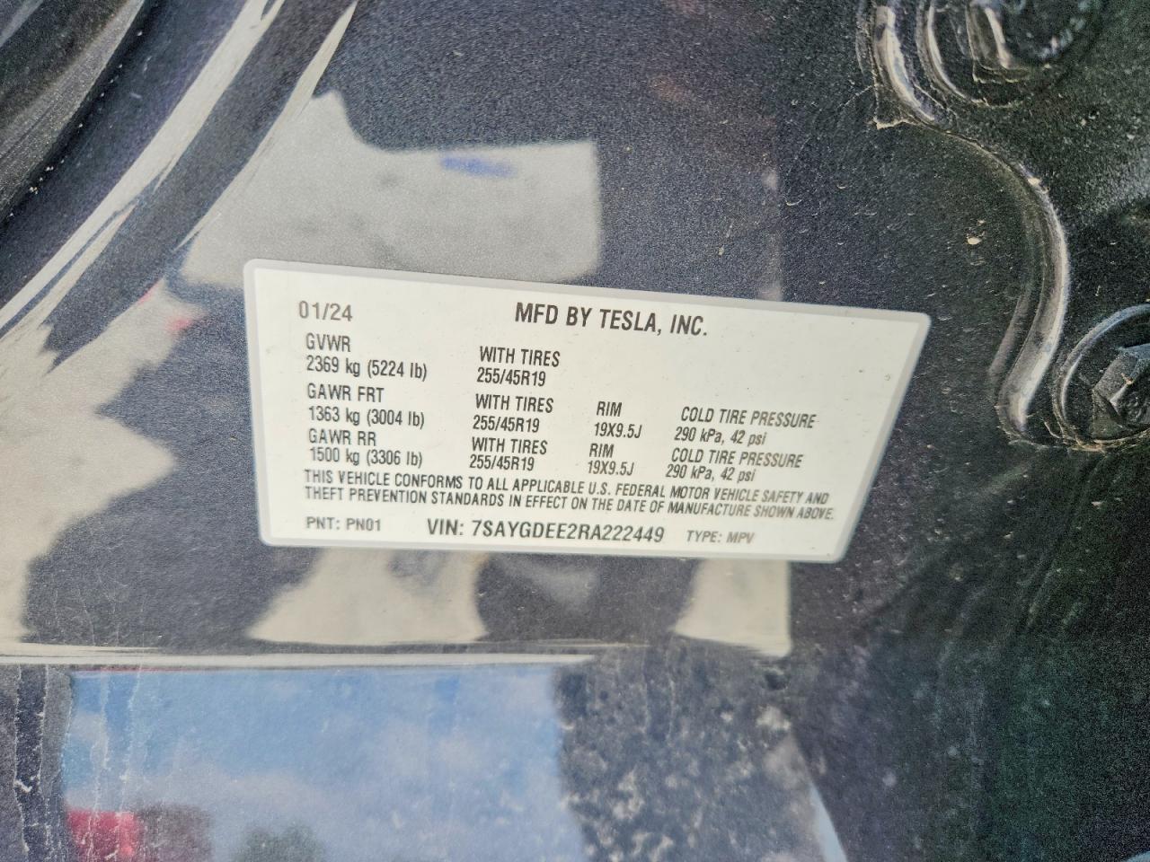 2024 TESLA MODEL Y