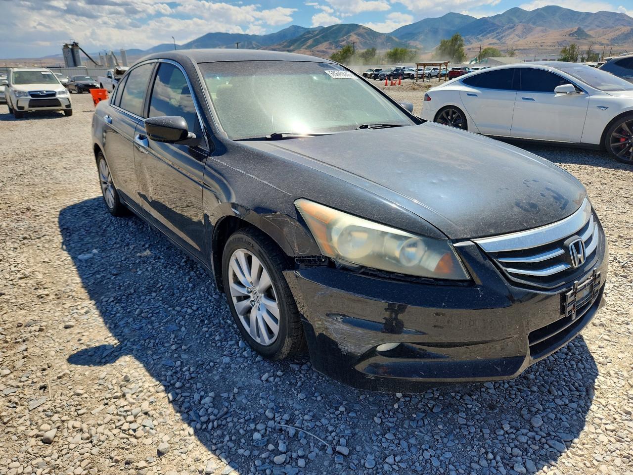 2011 HONDA ACCORD