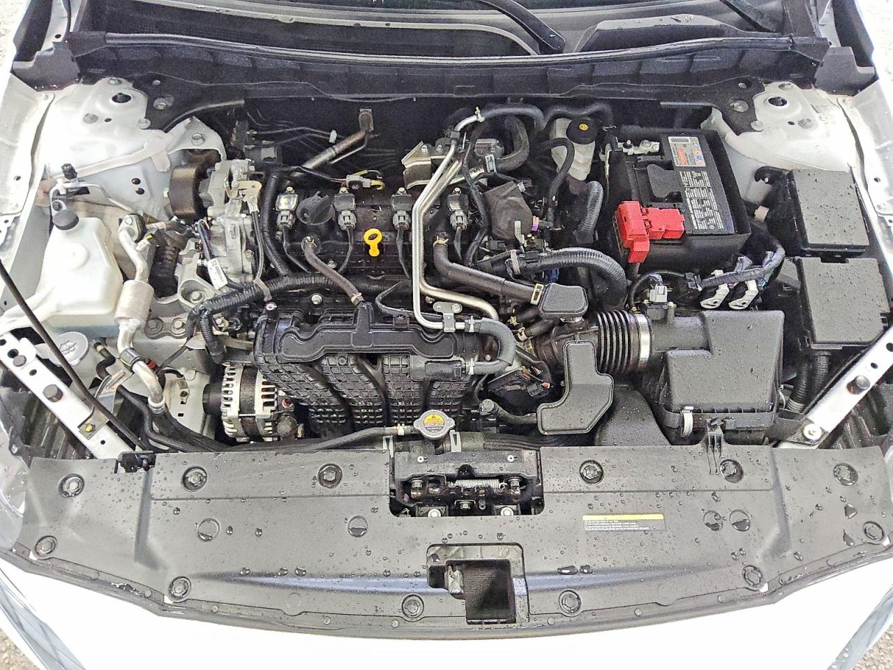 2025 NISSAN ALTIMA