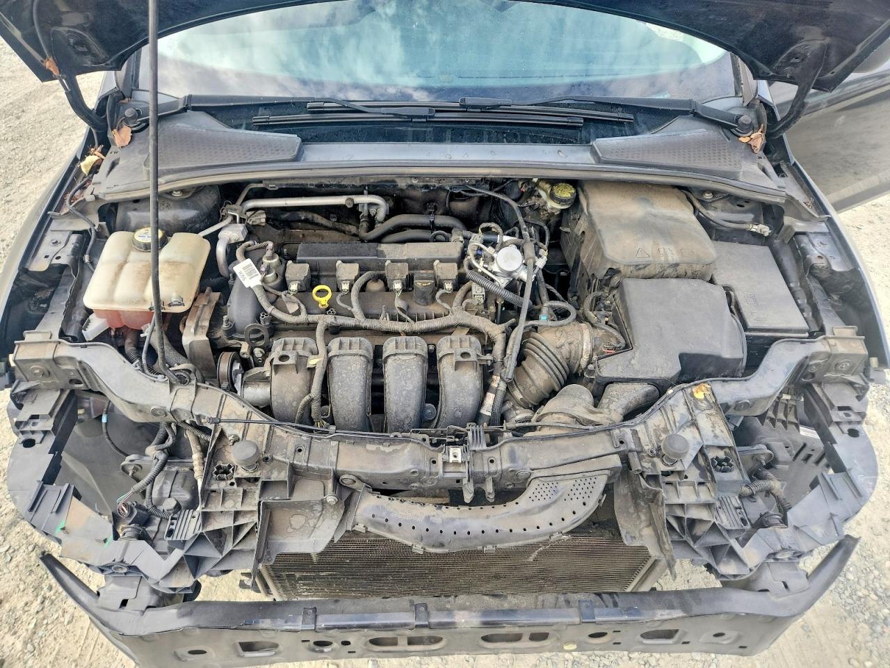 2016 FORD ALL Models