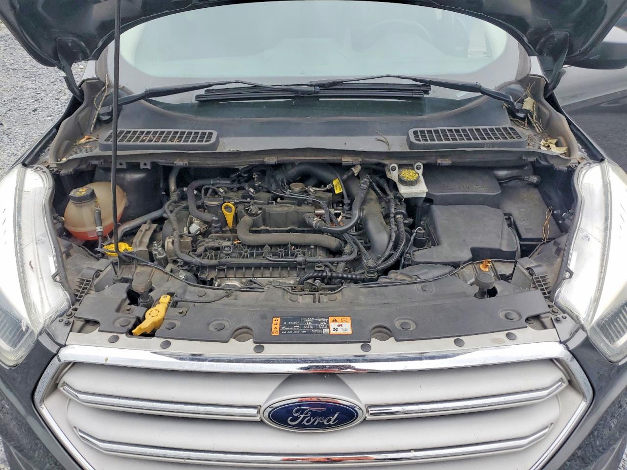 2019 FORD ESCAPE