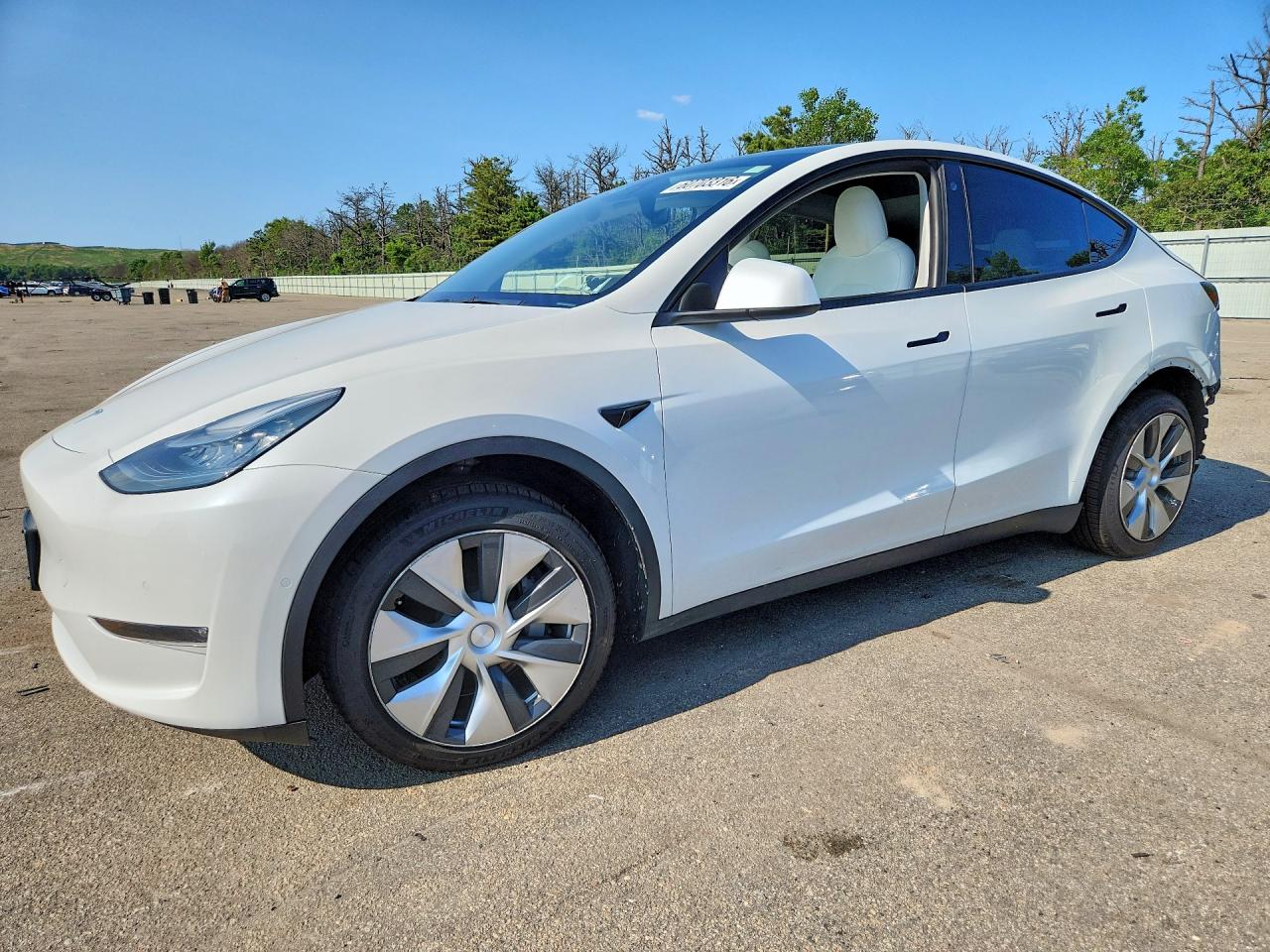 2021 TESLA MODEL Y